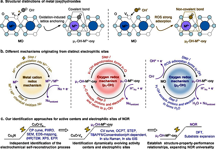 202510271708363396dl3d1