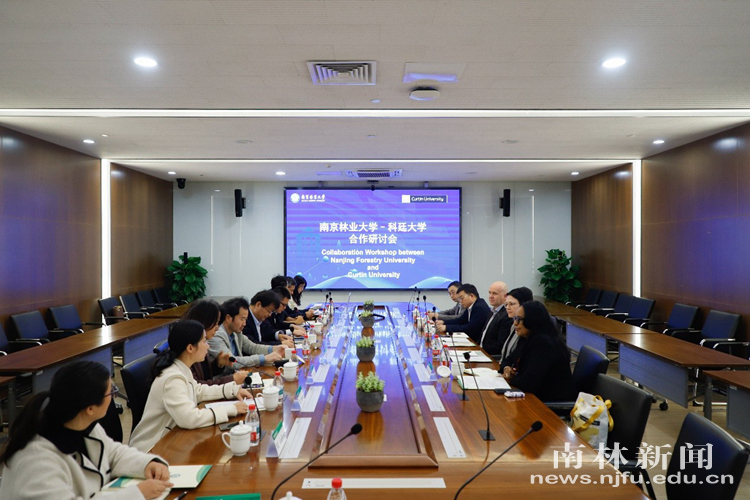 2025110611593621182msnl