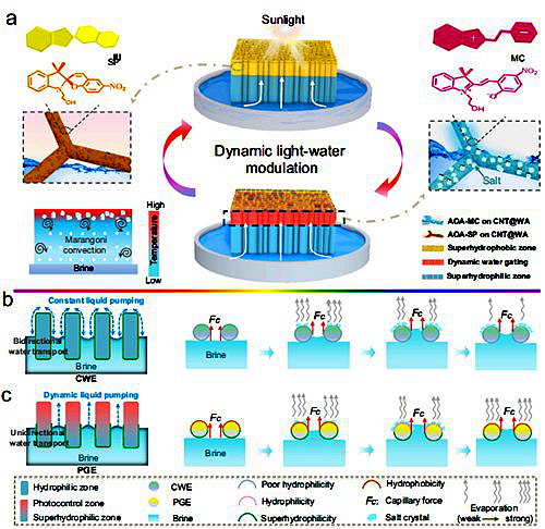 20251112225503959ha3evs