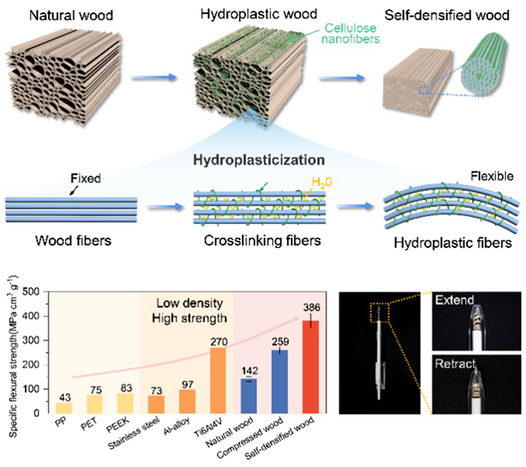 20251216200333584sjn9d2