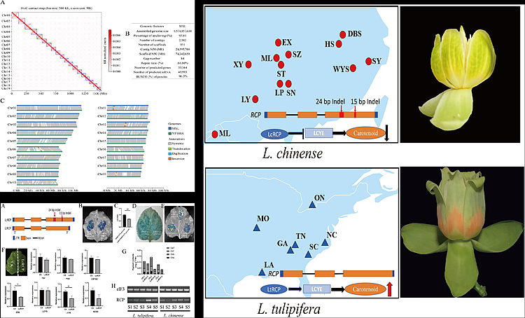 20251226211715889y17ga2