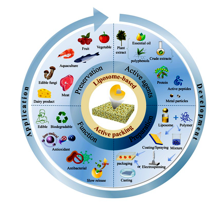 20260103144055231c7pmtn