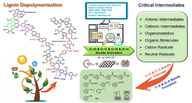 20230407212406421s4x3yq