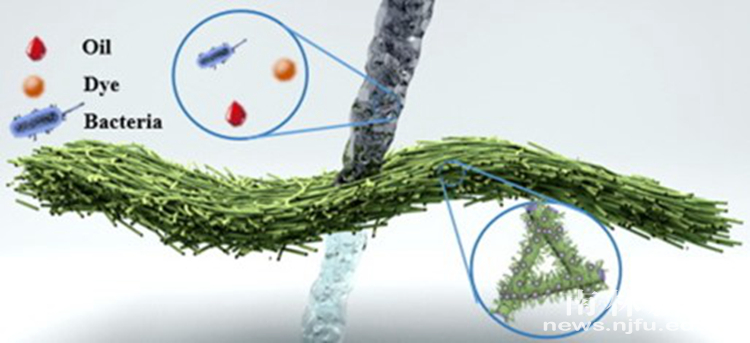 202311142343190021hze56