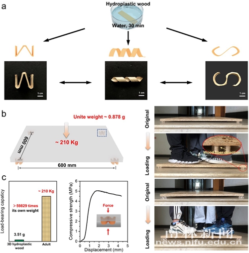 20231214092123562ehvjdb