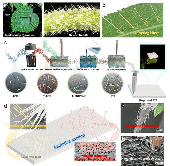 SLAC National Accelerator Laboratory