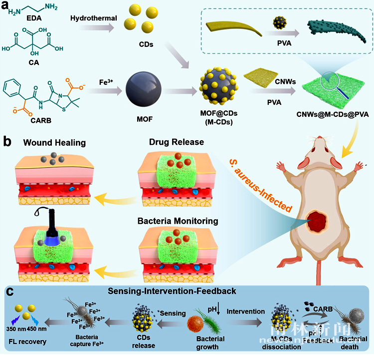 SLAC National Accelerator Laboratory