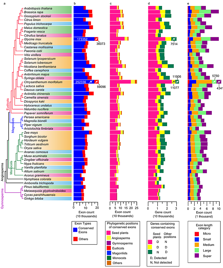 SLAC National Accelerator Laboratory