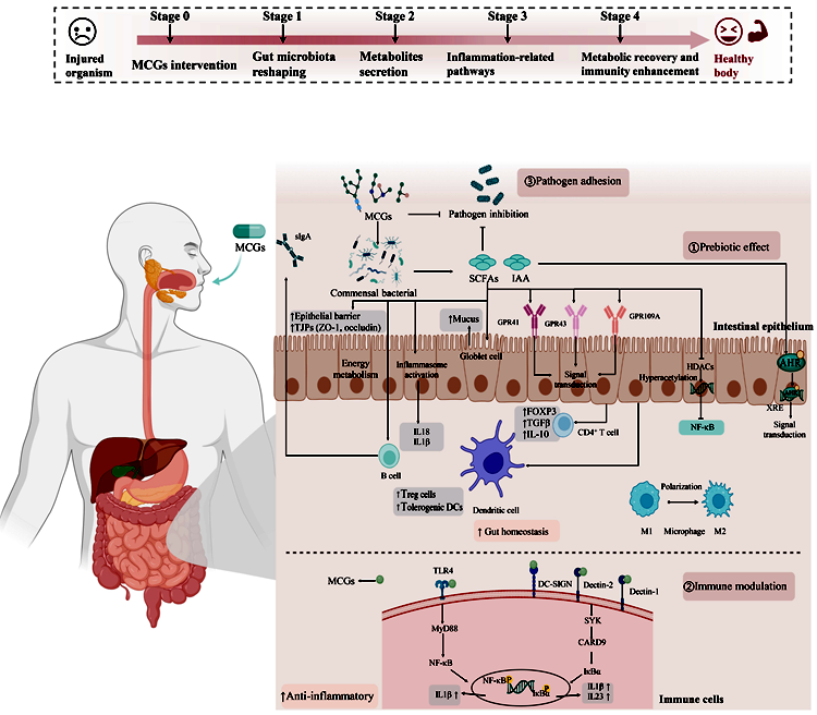SLAC National Accelerator Laboratory