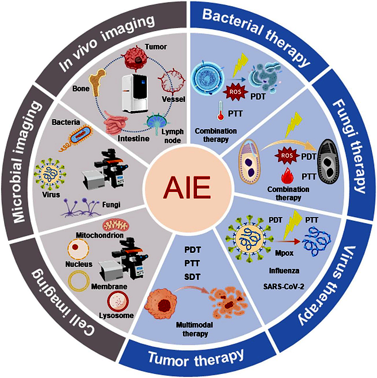 SLAC National Accelerator Laboratory